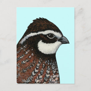 Bobwhite Quail Briefkaart