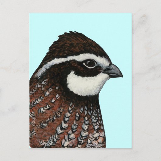 Bobwhite Quail Briefkaart (Voorkant)
