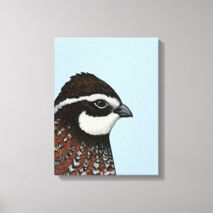 Bobwhite Quail Canvas Afdruk