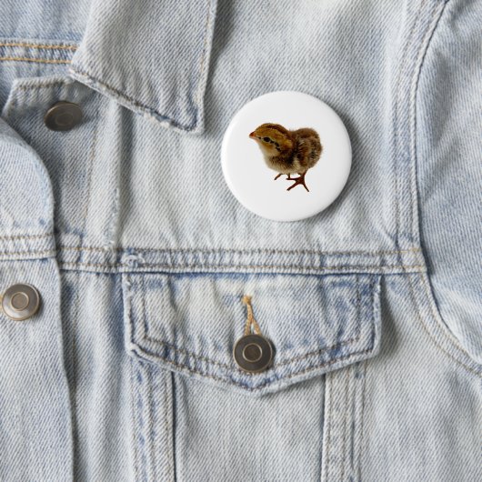 Bobwhite Quail Chick Ronde Button 5,7 Cm (In situ)