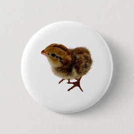 Bobwhite Quail Chick Ronde Button 5,7 Cm