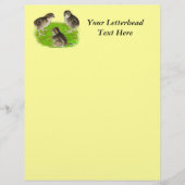 Bobwhite Quail Chicken (Voorkant)