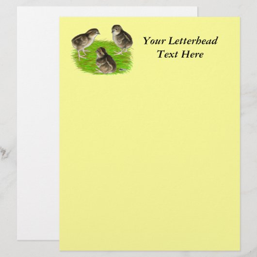 Bobwhite Quail Chicken (Voorkant / Achterkant)