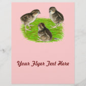 Bobwhite Quail Chicken Flyer (Voorkant)