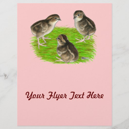 Bobwhite Quail Chicken Flyer (Voorkant)