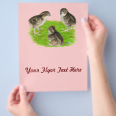 Bobwhite Quail Chicken Flyer (Hand)