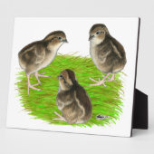 Bobwhite Quail Chicken Fotoplaat (Zijkant)