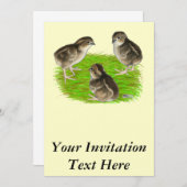 Bobwhite Quail Chicken Kaart (Voorkant / Achterkant)