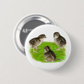 Bobwhite Quail Chicken Ronde Button 5,7 Cm (Voorkant /achterkant)