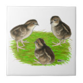 Bobwhite Quail Chicken Tegeltje (Voorkant)