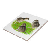 Bobwhite Quail Chicken Tegeltje (Zijkant)