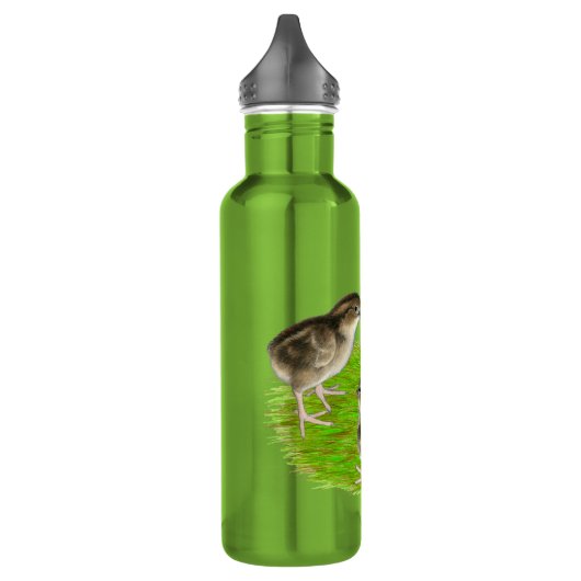 Bobwhite Quail Chicken Waterfles (Links)