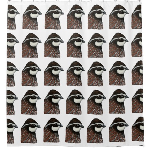 Bobwhite Quail Douchegordijn (Voorkant)