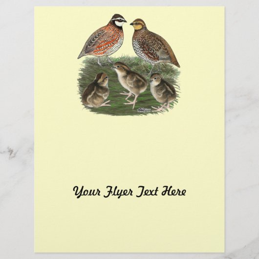 Bobwhite Quail familie Flyer (Voorkant)
