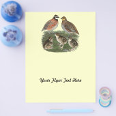 Bobwhite Quail familie Flyer (Enkel)