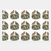 Bobwhite Quail familie Inpakpapier Vel (Voorkant 3)