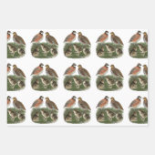Bobwhite Quail familie Inpakpapier Vel (Voorkant)