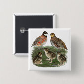 Bobwhite Quail familie Vierkante Button 5,1 Cm (Voorkant /achterkant)