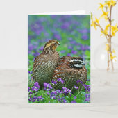 Bobwhite Quail-foto Kaart (Gele Bloem)