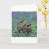 Bobwhite Quail-fotografie Kaart (Gele Bloem)