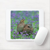 Bobwhite Quail-fotografie Muismat (Met muis)