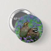 Bobwhite Quail-fotografie Ronde Button 5,7 Cm (Voorkant /achterkant)