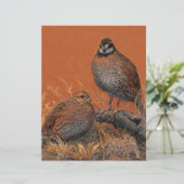 Bobwhite Quail (Georgia, Missouri en Tennessee) (Staand voorkant)