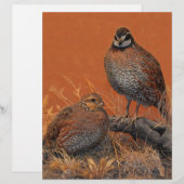 Bobwhite Quail (Georgia, Missouri en Tennessee) (Voorkant / Achterkant)