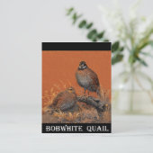 Bobwhite Quail (Georgia, Missouri en Tennessee) Briefkaart (Staand voorkant)