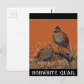 Bobwhite Quail (Georgia, Missouri en Tennessee) Briefkaart (Voorkant / Achterkant)
