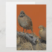 Bobwhite Quail (Georgia, Missouri en Tennessee) Briefpapier (Voorkant / Achterkant)