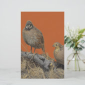 Bobwhite Quail (Georgia, Missouri en Tennessee) Briefpapier (Staand voorkant)