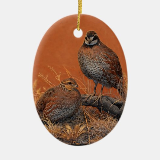 Bobwhite Quail (Georgia, Missouri en Tennessee) Keramisch Ornament (Voorkant)