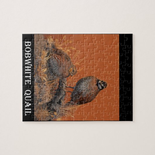 Bobwhite Quail (Georgia, Missouri en Tennessee) Legpuzzel (Horizontaal)