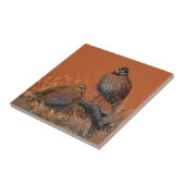 Bobwhite Quail (Georgia, Missouri en Tennessee) Tegeltje (Zijkant)