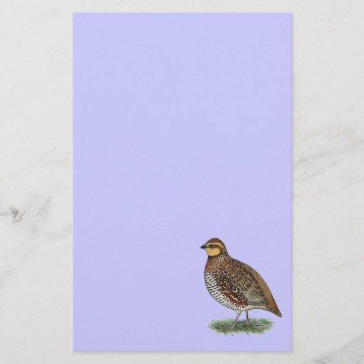 Bobwhite Quail Hen Briefpapier (Voorkant)