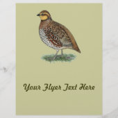 Bobwhite Quail Hen Flyer (Voorkant)