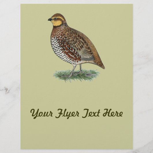 Bobwhite Quail Hen Flyer (Voorkant)