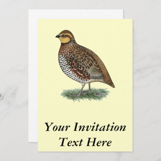 Bobwhite Quail Hen Kaart (Voorkant / Achterkant)