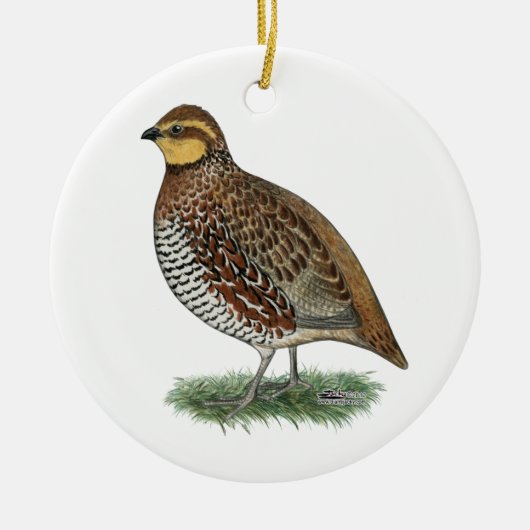 Bobwhite Quail Hen Keramisch Ornament (Voorkant)