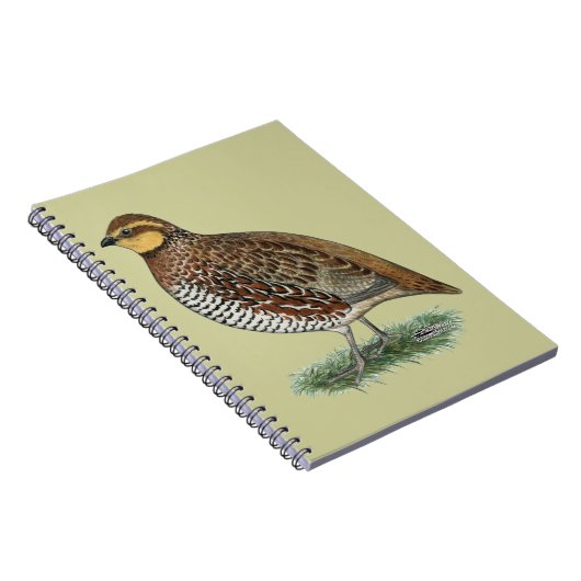 Bobwhite Quail Hen Notitieboek (Rechterzijde)