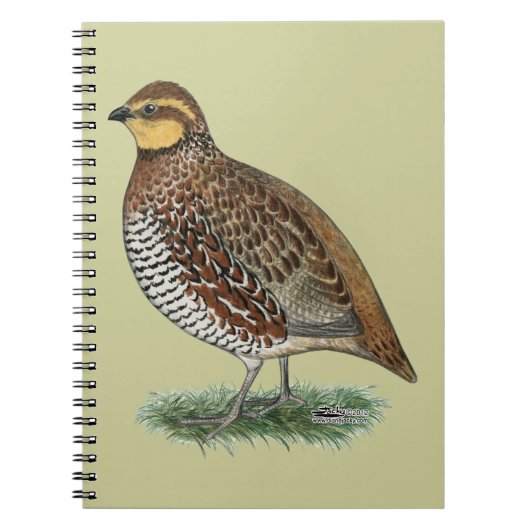 Bobwhite Quail Hen Notitieboek (Voorkant)