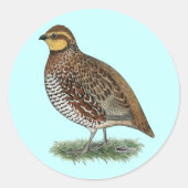 Bobwhite Quail Hen Ronde Sticker (Voorkant)