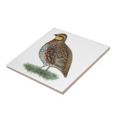 Bobwhite Quail Hen Tegeltje (Zijkant)