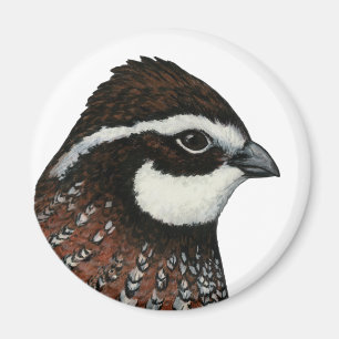 Bobwhite Quail Magneet