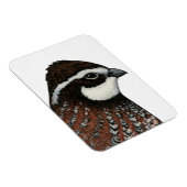 Bobwhite Quail Magneet (Rechterzijde)