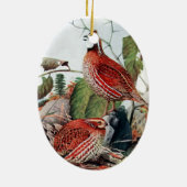 Bobwhite Quail Ornament (Achterkant)