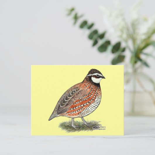 Bobwhite Quail Rooster Briefkaart (Staand voorkant)