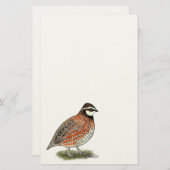 Bobwhite Quail Rooster Briefpapier (Voorkant / Achterkant)