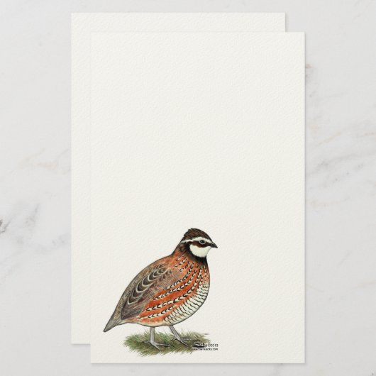 Bobwhite Quail Rooster Briefpapier (Voorkant / Achterkant)